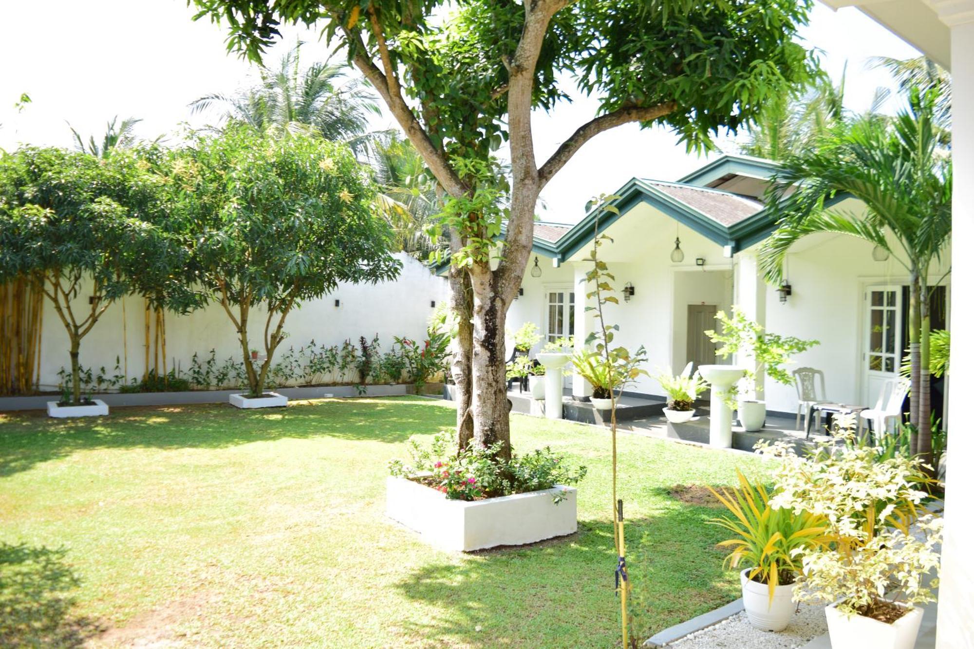 The Bamboo Tree Transit Hotel Katunayaka Ngoại thất bức ảnh