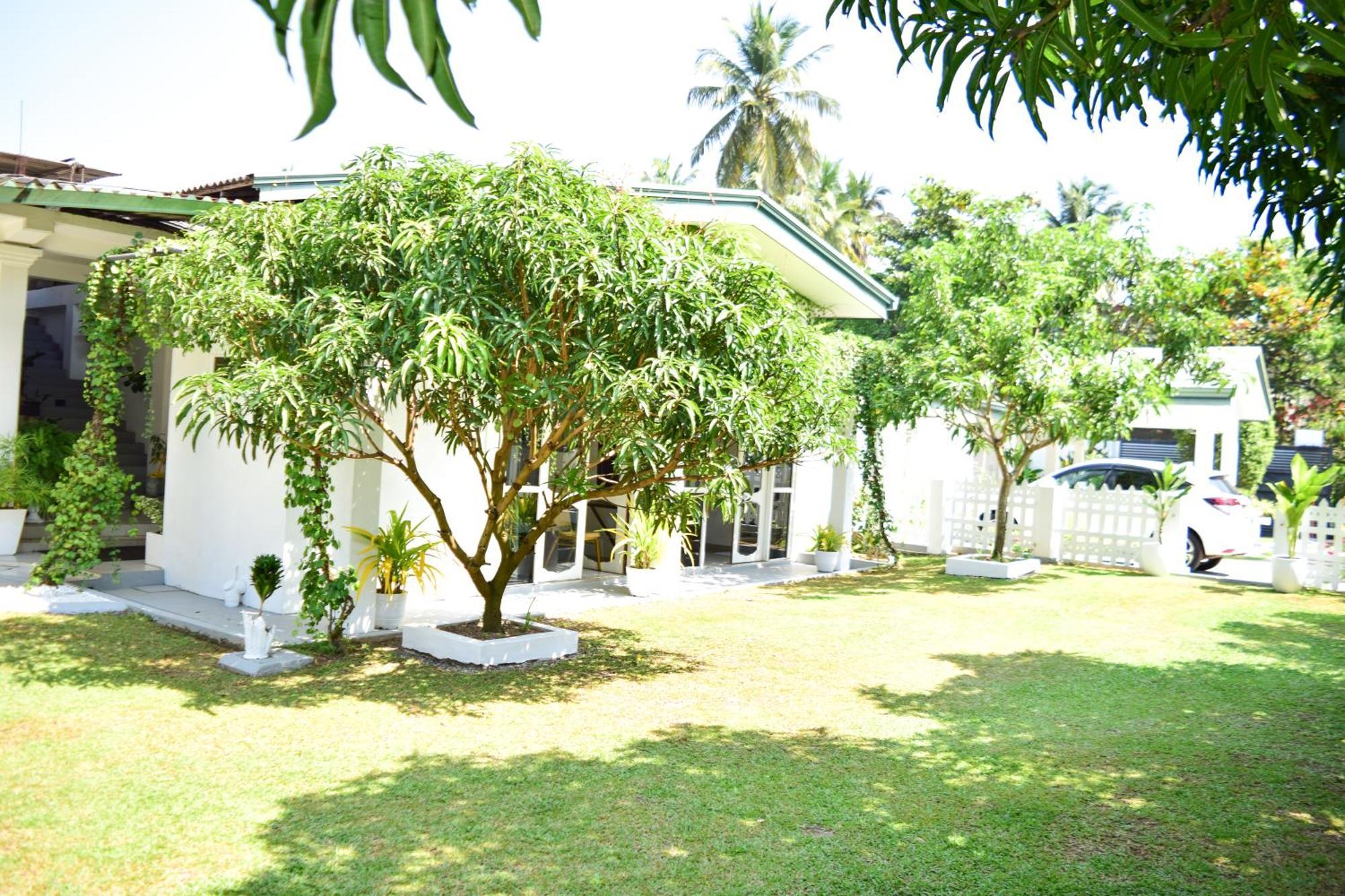 The Bamboo Tree Transit Hotel Katunayaka Ngoại thất bức ảnh