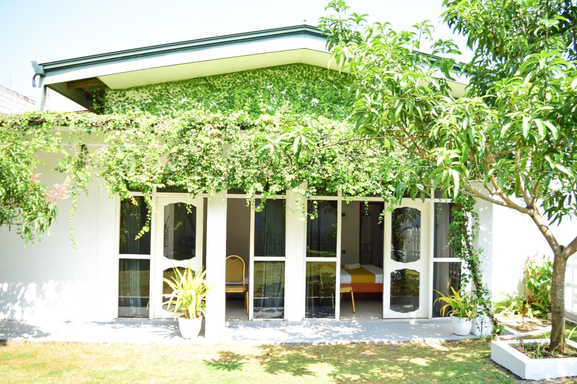 The Bamboo Tree Transit Hotel Katunayaka Ngoại thất bức ảnh