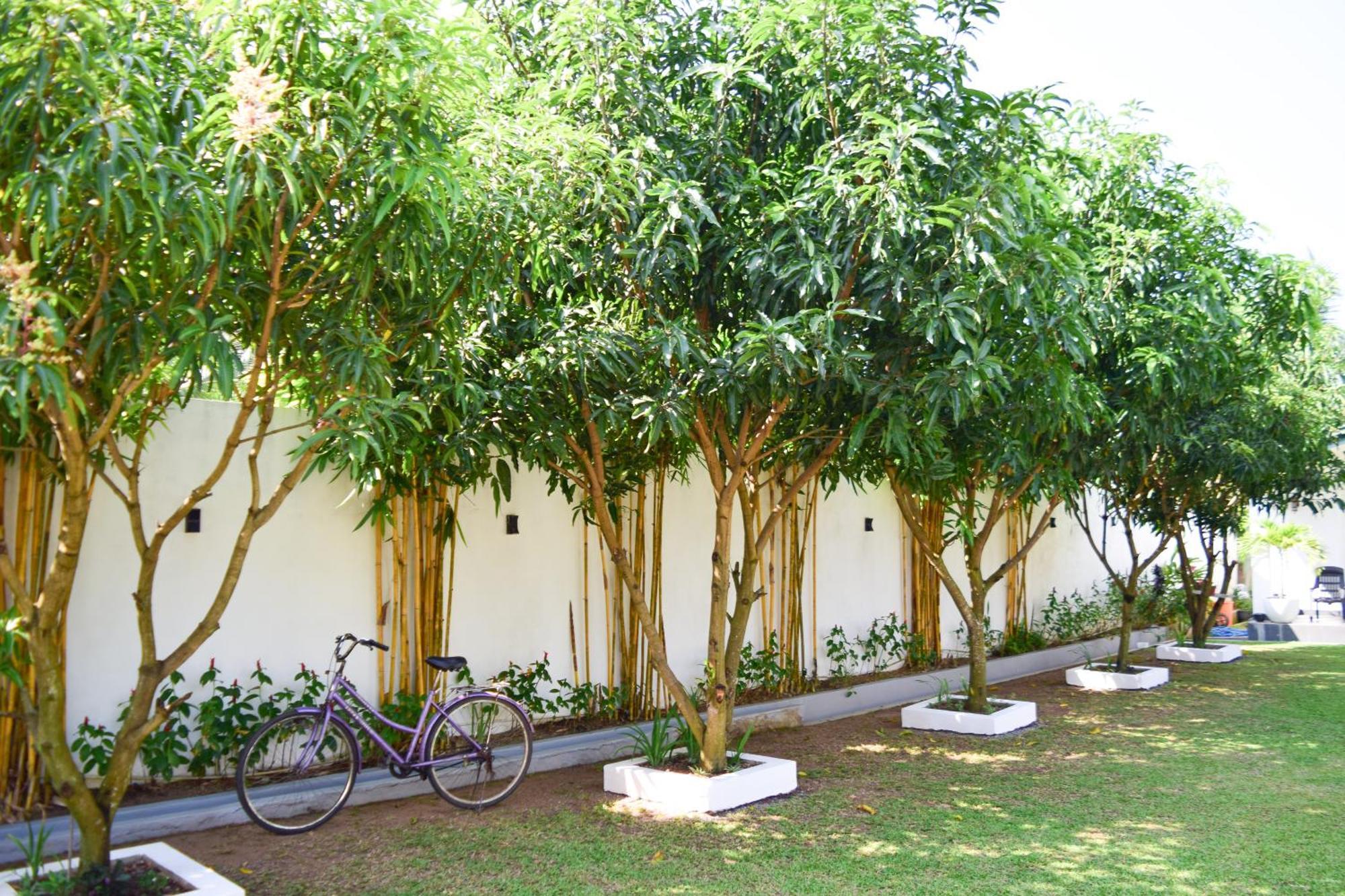 The Bamboo Tree Transit Hotel Katunayaka Ngoại thất bức ảnh